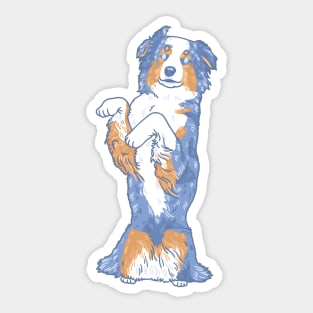 Blue Merle Aussie Sticker